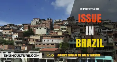 Poverty in Brazil: A Persistent Crisis and Its Far-Reaching Impact