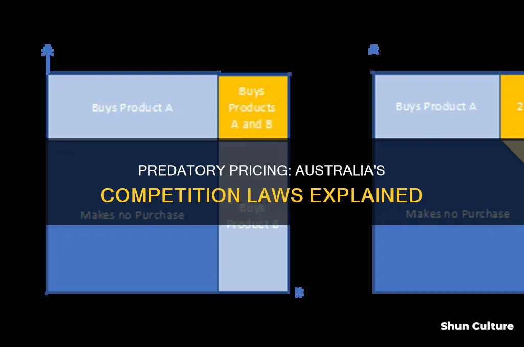 is predatory pricing illegal in australia