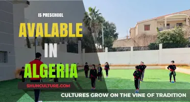 Exploring Preschool Education Options in Algeria: Availability and Insights
