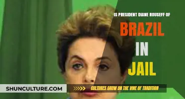 Is Dilma Rousseff, Brazil's Former President, Currently Incarcerated?