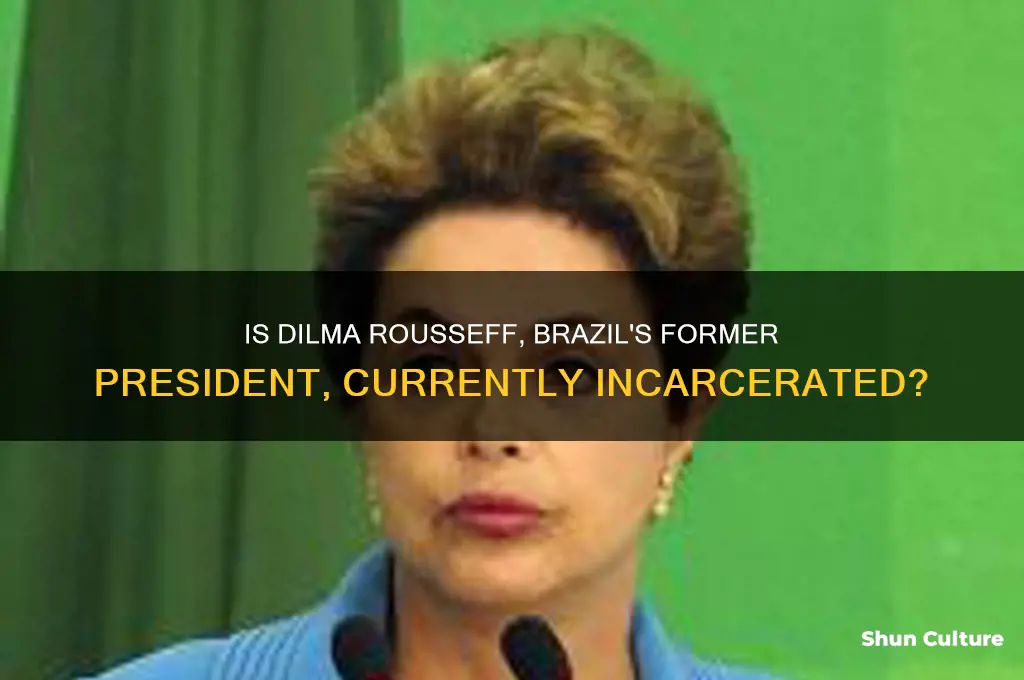 is president diane rouseff of brazil in jail