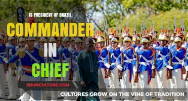 Is Brazil's President the Commander-in-Chief? Exploring the Role and Powers