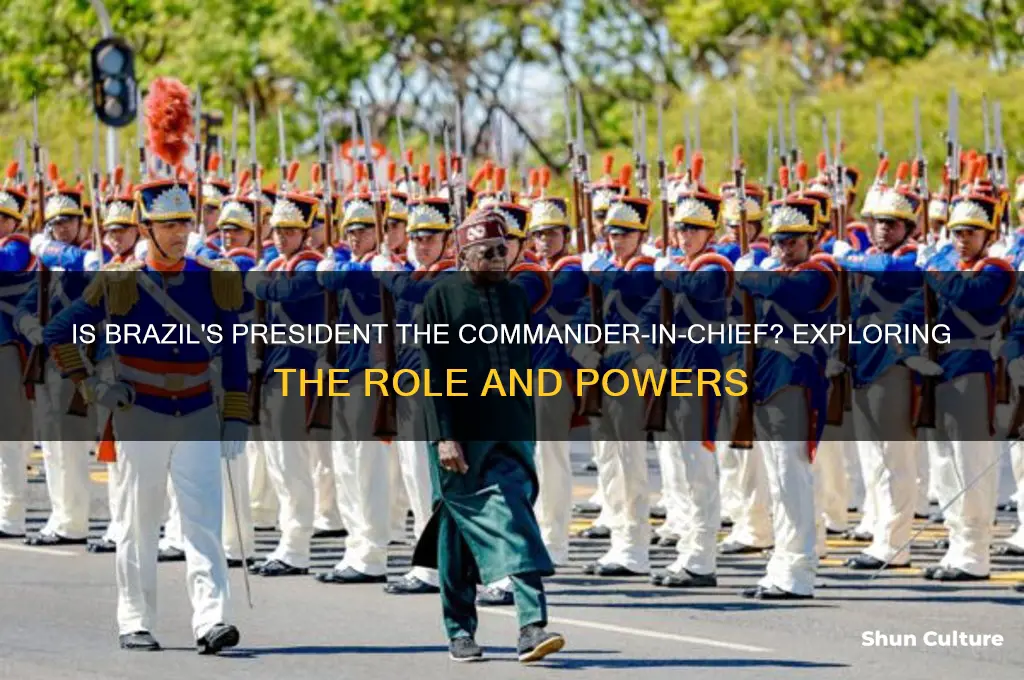 is president of brazil commander in chief