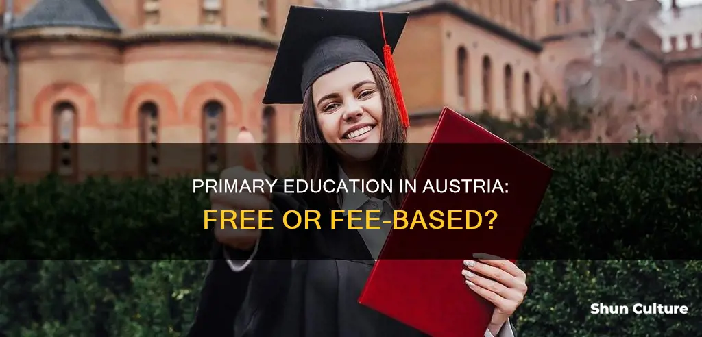 is primary education in austria free