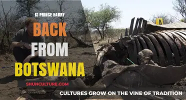 Prince Harry Returns: Latest Updates from His Botswana Visit
