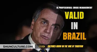 Is Professional Crisis Management Effective in Brazil's Unique Business Landscape?