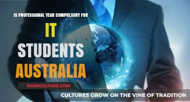 Is Professional Year Mandatory for IT Graduates in Australia?