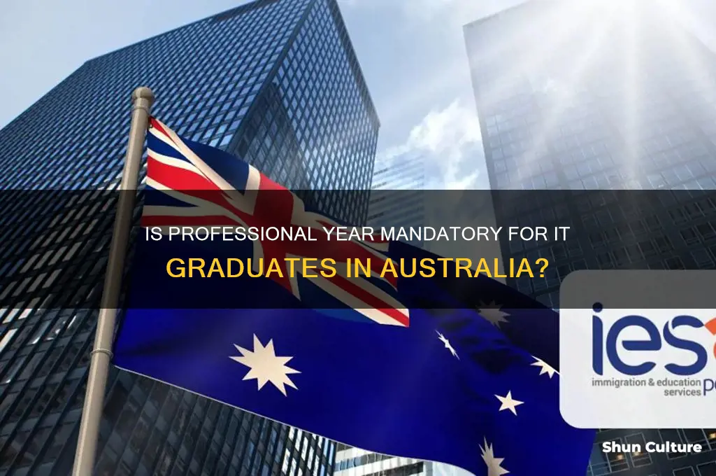 is professional year compulsory for it students australia