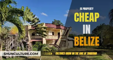 Property Prospects in Belize: Paradise for Affordable Prices