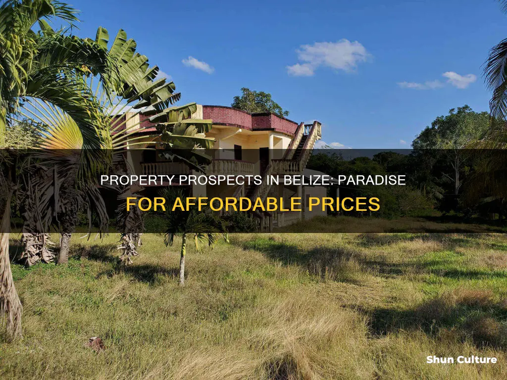 is property cheap in belize