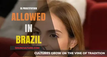 Is Prostitution Legal in Brazil? Exploring the Country's Laws and Regulations
