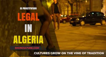Is Prostitution Legal in Algeria? Exploring the Laws and Realities