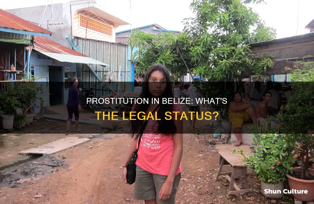 is prostitution legal in belize