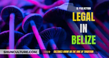 Belize's Approach to Psilocybin: A Legal Loophole?