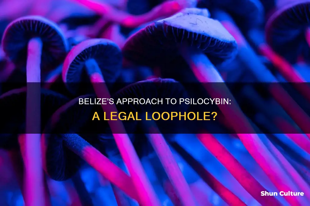 is psilocybin legal in belize