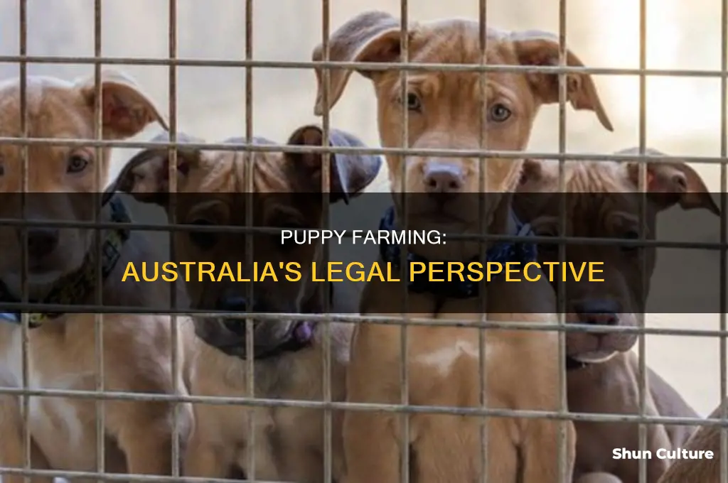 is puppy farming illegal in australia