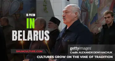 Putin's Belarus Visit: What Does It Mean?