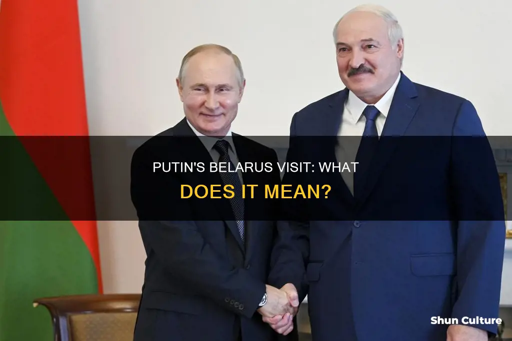 is putin in belarus