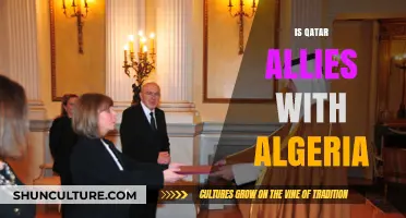 Qatar-Algeria Relations: Strategic Alliance or Diplomatic Partnership?