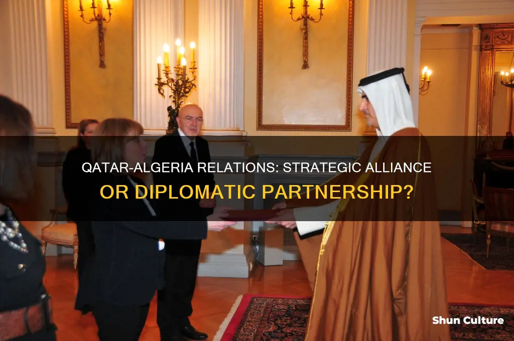 is qatar allies with algeria