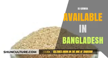 Exploring Quinoa Availability in Bangladesh: A Comprehensive Guide