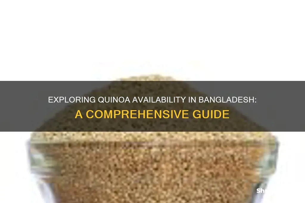 is quinoa available in bangladesh