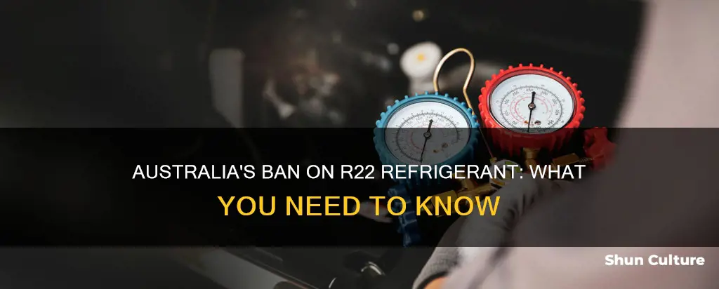is r22 banned in australia