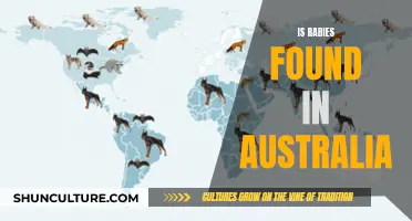 Rabies in Australia: What's the Situation?