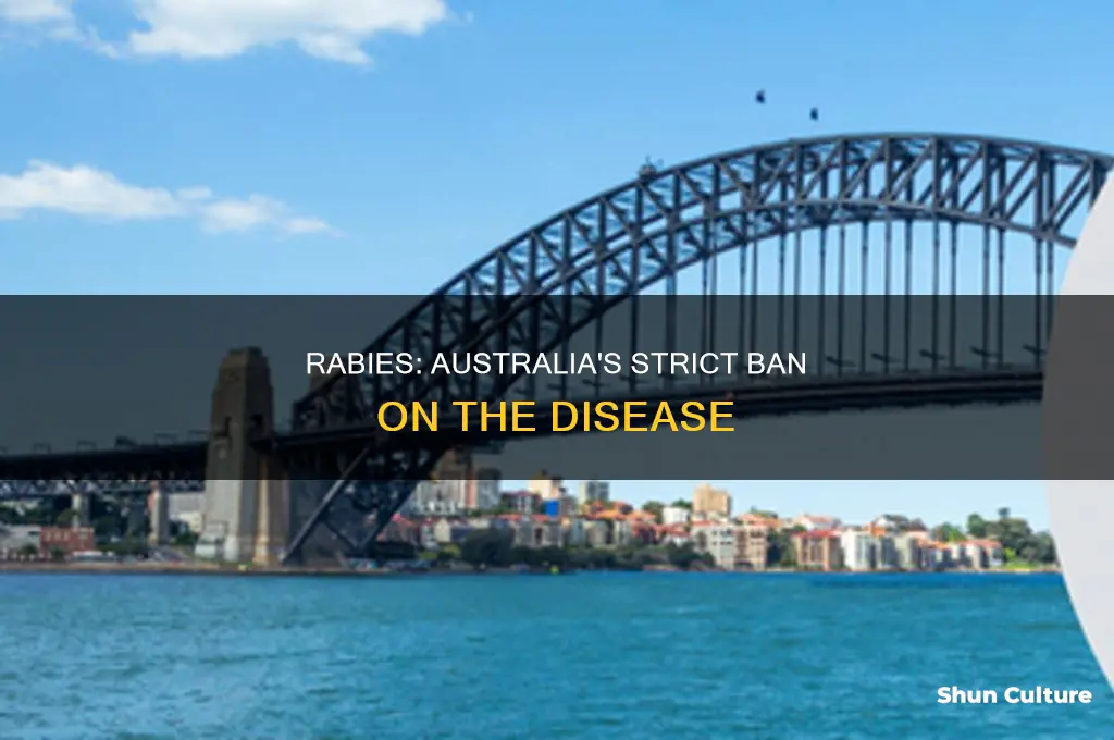 is rabies illegal in australia