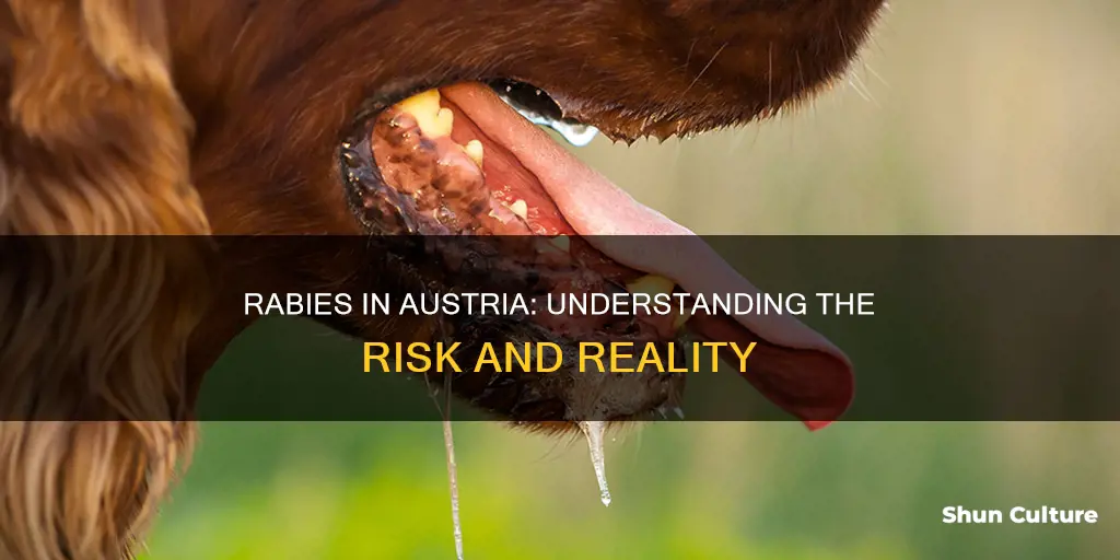 is rabies in austria