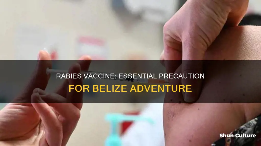 is rabies vaccine necessary for belize