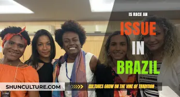 Race in Brazil: Uncovering the Complexities of Identity and Inequality