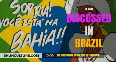 Race in Brazil: Uncovering the Complexities of Identity and Culture