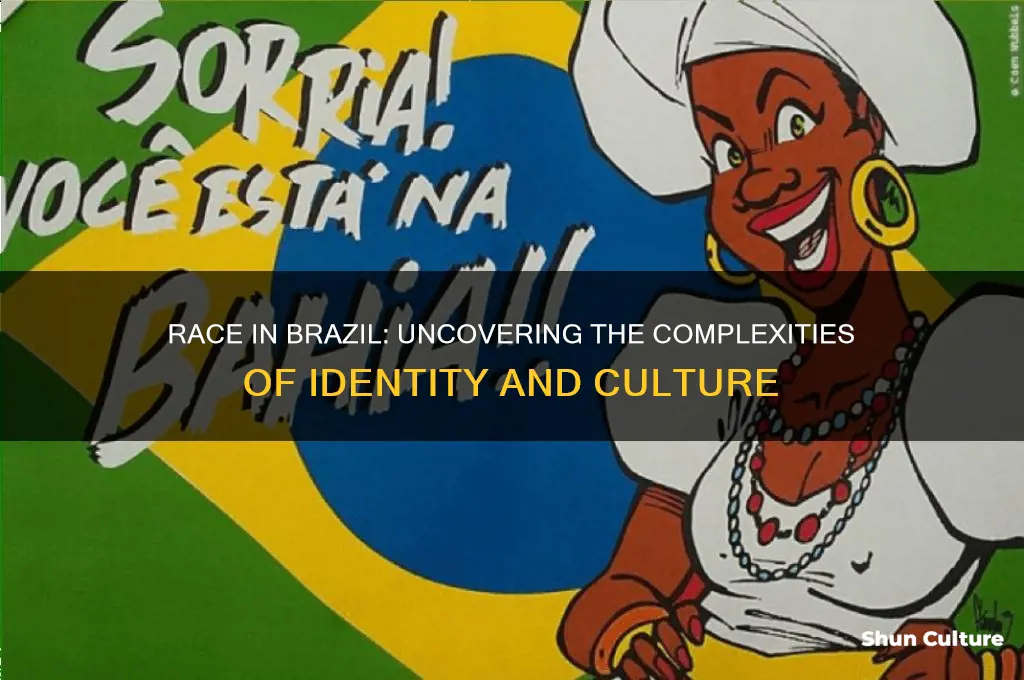 is race discussed in brazil