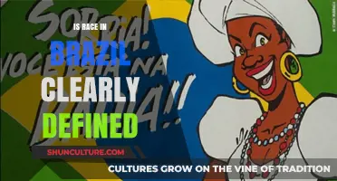 Is Race in Brazil Clearly Defined? Exploring Complex Identities and Perceptions
