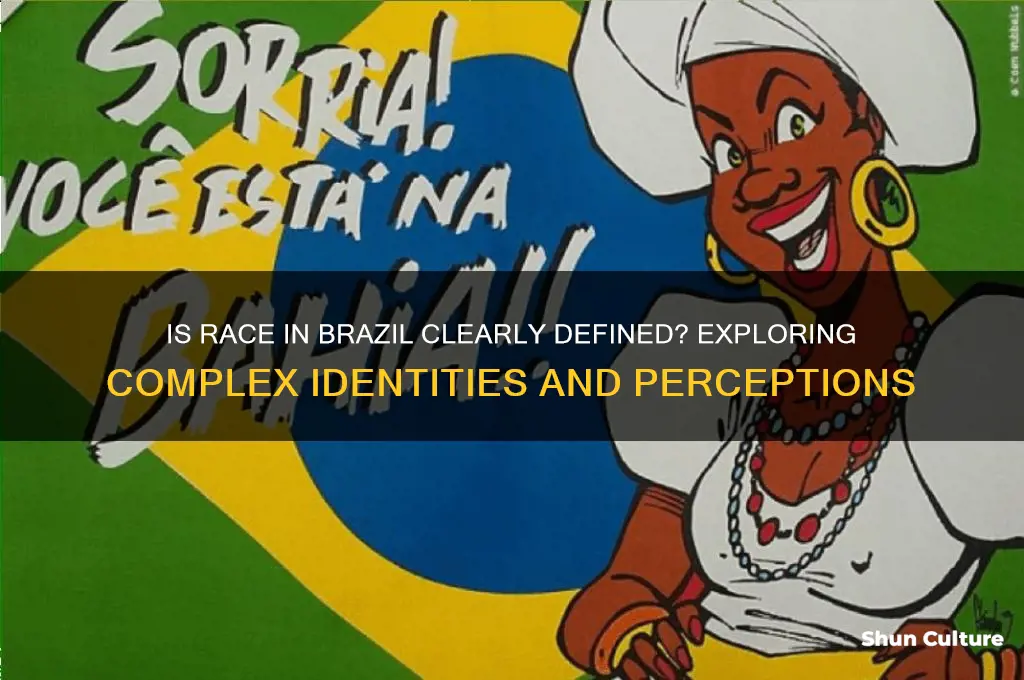 is race in brazil clearly defined