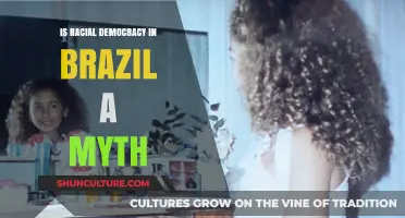 Racial Democracy in Brazil: Unveiling the Myth of Equality