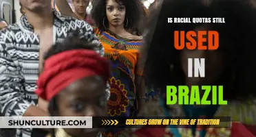 Racial Quotas in Brazil: Current Practices and Impact on Diversity