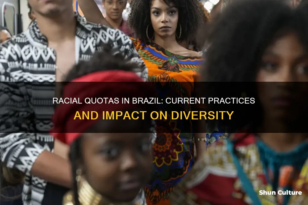 is racial quotas still used in brazil