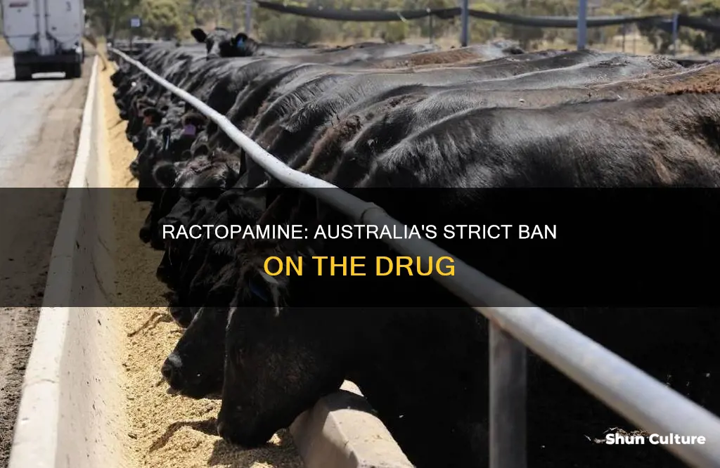 is ractopamine banned in australia