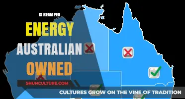 ReAmped Energy: Australian-Owned?