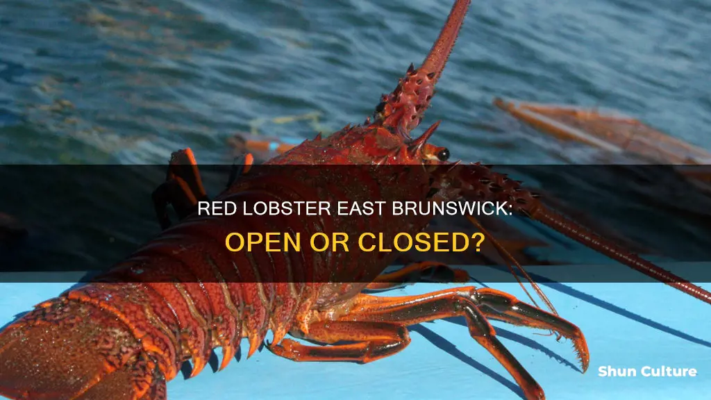 is red lobster in east brunswick open