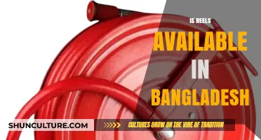 Is Reels Available in Bangladesh? A Comprehensive Guide for Users