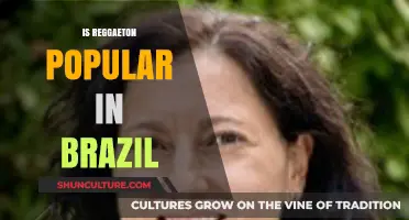 Is Reggaeton Popular in Brazil? Exploring the Genre's Influence
