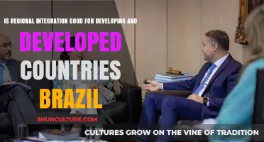 Regional Integration: Benefits for Brazil and Global Economic Partners