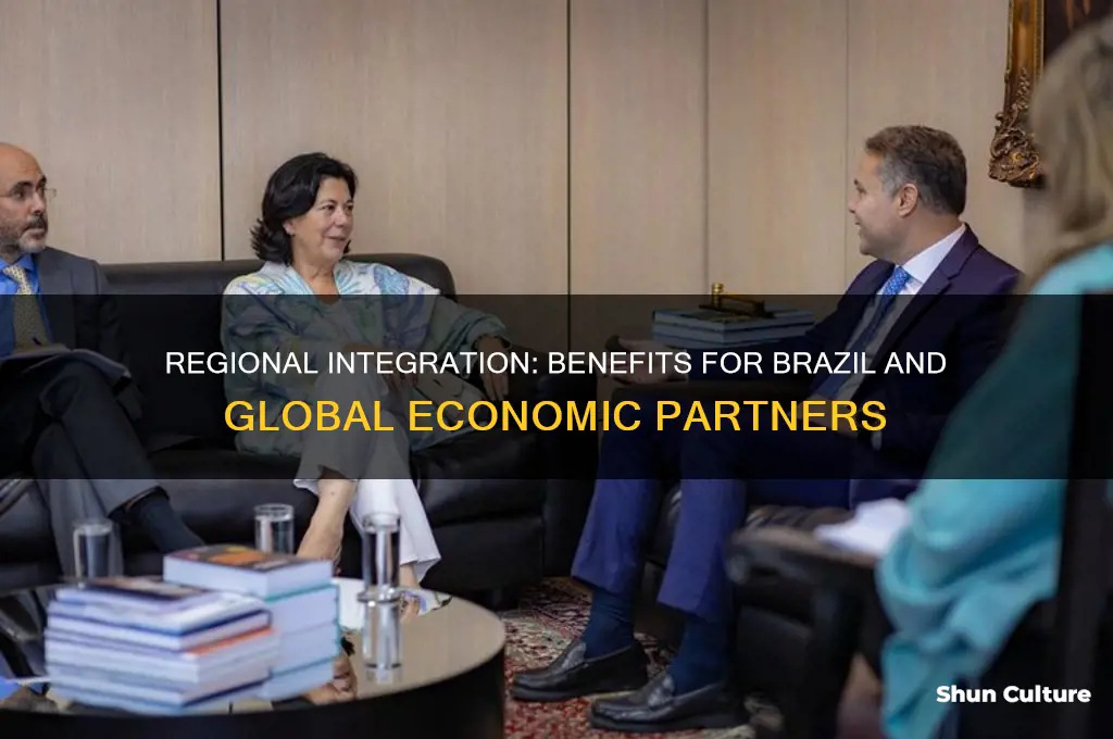 is regional integration good for developing and developed countries brazil