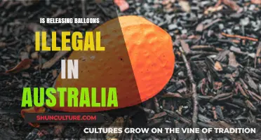 Balloons: Australia's Ban and the Environment