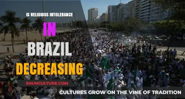 Brazil's Religious Intolerance: A Declining Trend or Persistent Challenge?