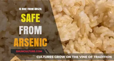 Is Brazilian Rice Safe? Arsenic Concerns and What You Need to Know
