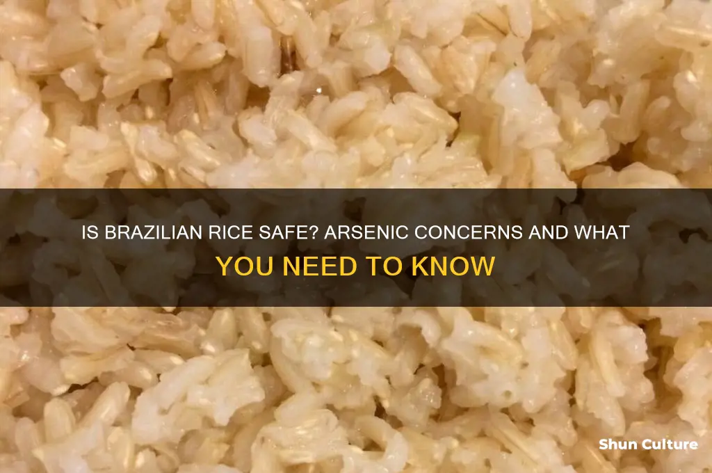 is rice from brazil safe from arsenic